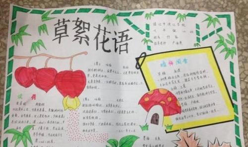 红钱草的花语传递了哪些信息？