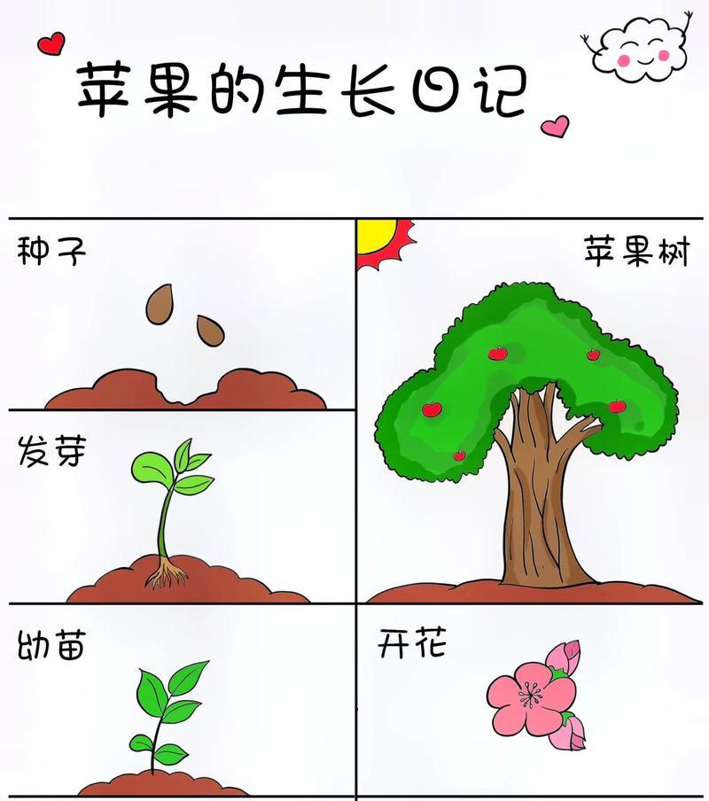 家庭种植植物的基本步骤和技巧是什么？