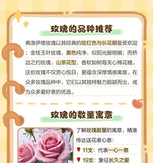 一束玫瑰花表达什么情感？花语含义是什么？