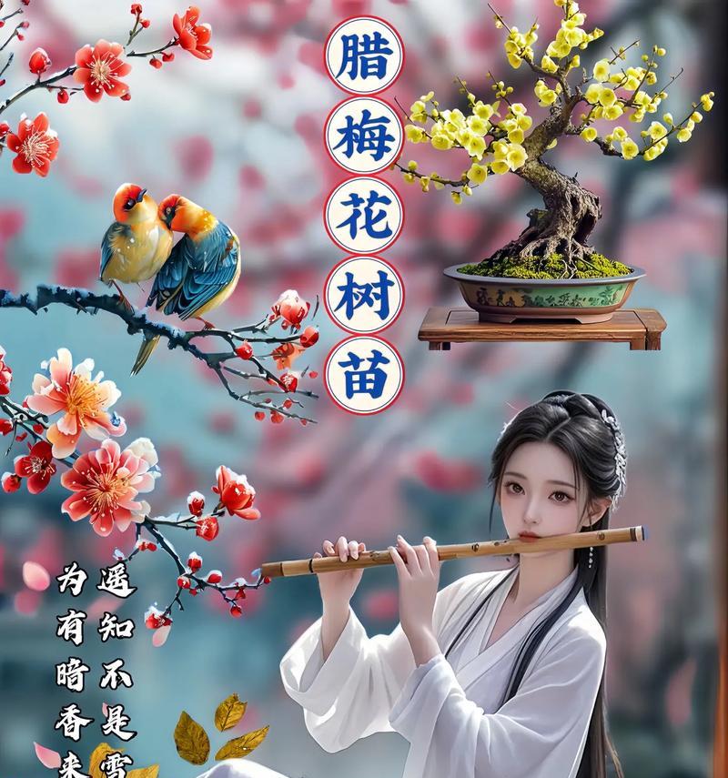 蜡梅的花语含义和象征是什么？这种花代表了什么？