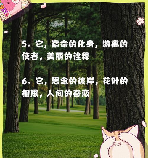 自由张扬个性的花语代表什么？这种花语有何深意？