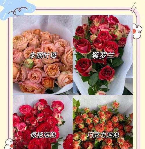 满片彩色玫瑰花通常象征着什么？