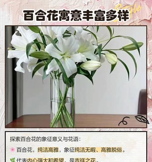 百合花语通常代表什么意义？
