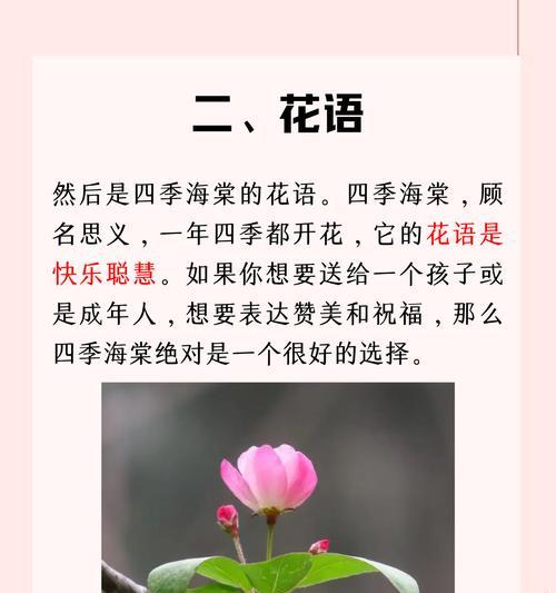 海棠和玫瑰的花语区别是什么？海棠与玫瑰花语有何不同？