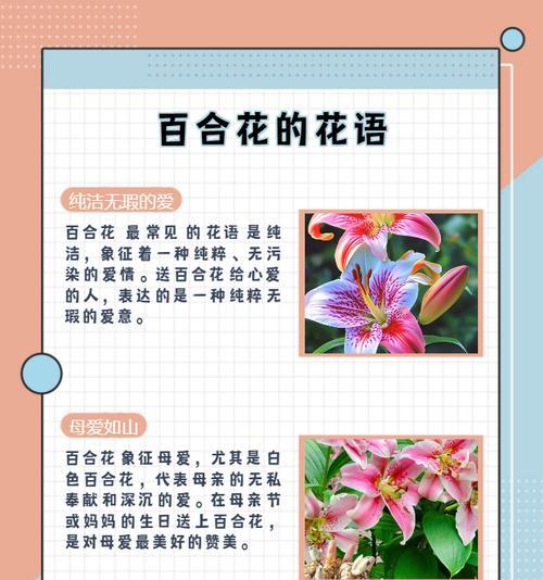 永远都爱自己的花语是什么？花语鸣笛又是什么意思？
