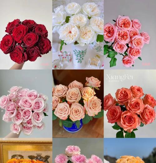 玫瑰花包装十九朵代表什么？十九朵玫瑰花语的特别含义是什么？