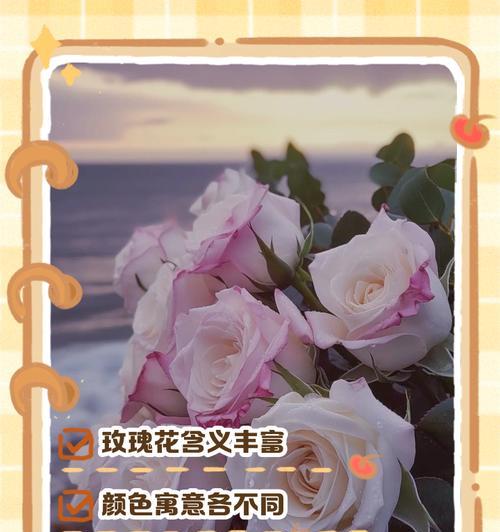 玫瑰花包装十九朵代表什么？十九朵玫瑰花语的特别含义是什么？