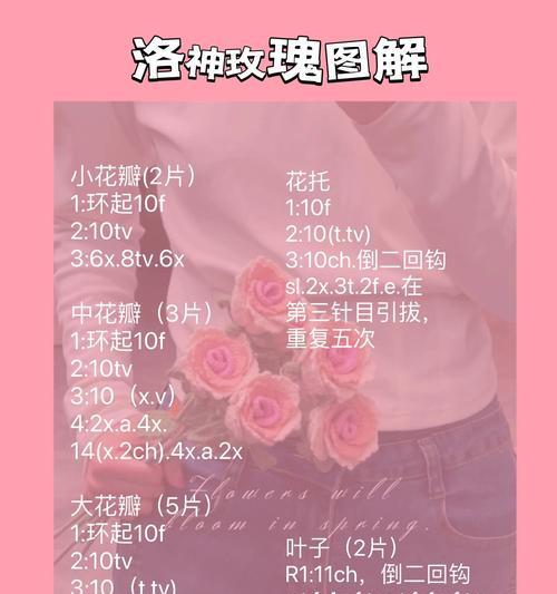 小王子玫瑰花编织寓意是什么？小王子玫瑰花的花语是什么？