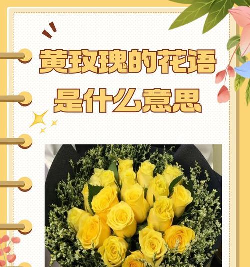 花语的真正意思和含义是什么？