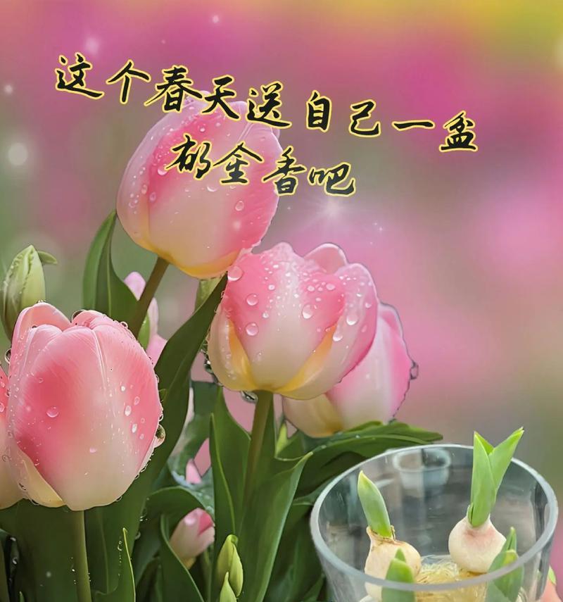 郁金香的花语有哪些特别含义？