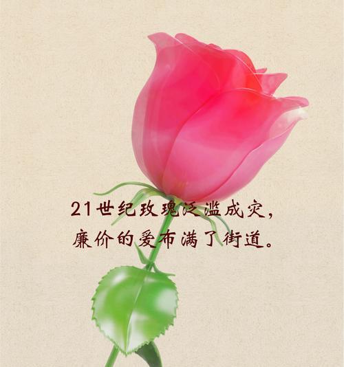 玫瑰冠冕的花语有何深意？如何用它来表达情感？