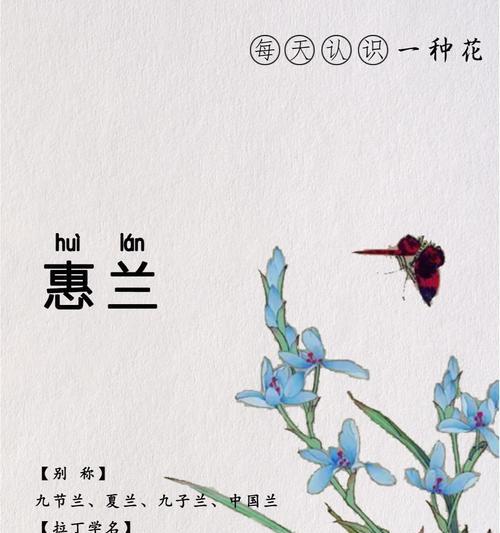 哪种花的花语象征远大志向？