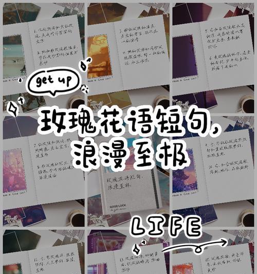 浪漫花语中有哪些好听的花名？它们分别代表了什么？