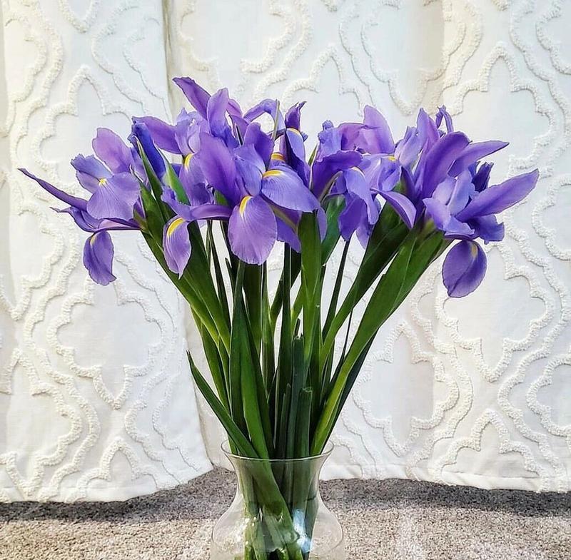 浪漫花语中有哪些好听的花名？它们分别代表了什么？