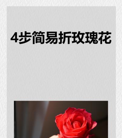 毛巾折花玫瑰花代表什么？毛巾折花玫瑰花的寓意有哪些？