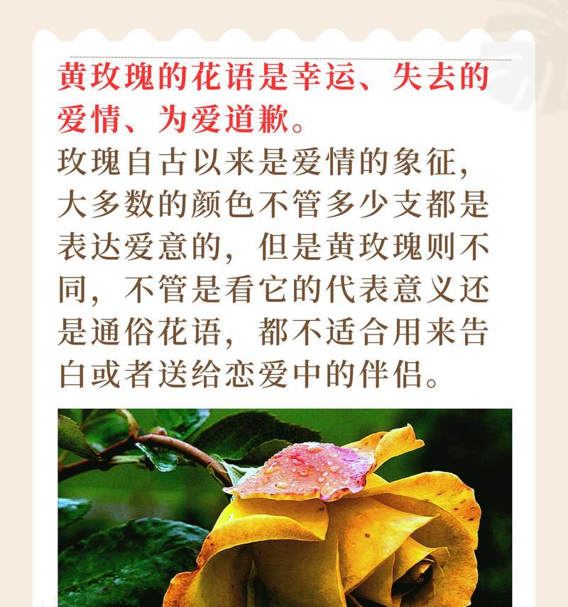 分享花语有什么好处？分享花语的意义是什么？