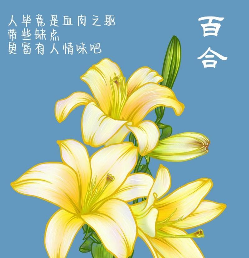分享花语有什么好处？分享花语的意义是什么？