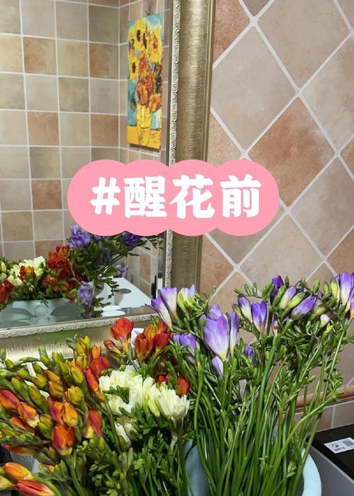 香雪兰醒花与养护秘籍有哪些要点？常见问题如何应对？