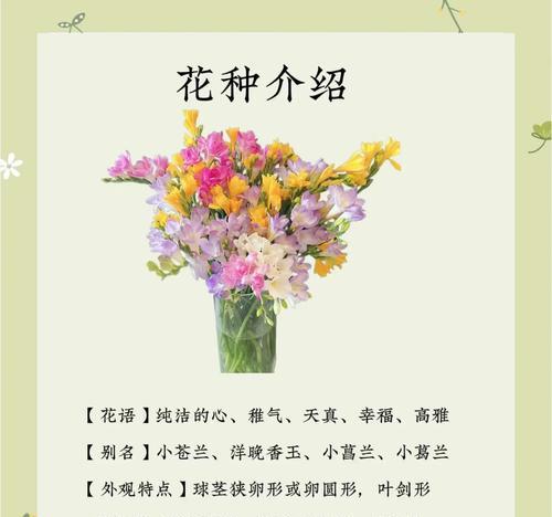 香雪兰醒花与养护秘籍有哪些要点？常见问题如何应对？