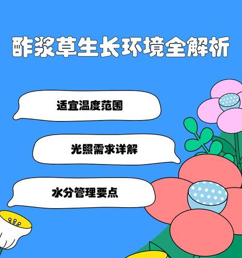 酢浆草养护疑问有哪些？通风、施肥及日晒需求是什么？