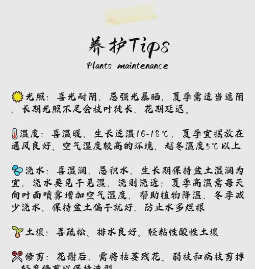栀子花养护全攻略：酸性土壤与光照如何管理？