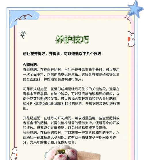 牡丹花养护指南：光照需求与技巧是什么？