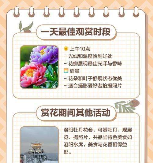 牡丹花养护指南：光照需求与技巧是什么？