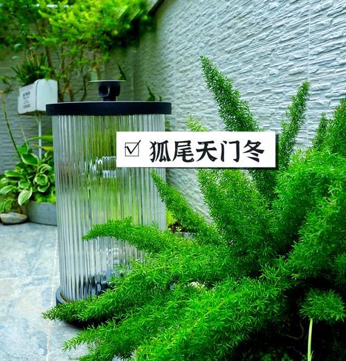 植物瓷砖如何营造清新氛围？