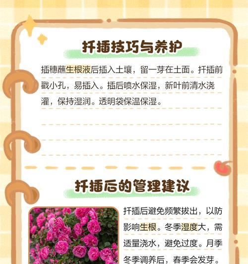 植物扦插有哪些秘密？如何确保扦插的成功？