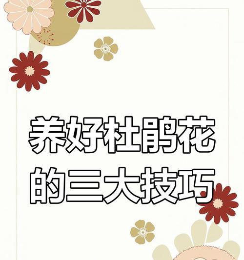 如何掌握杜鹃花养殖秘籍？杜鹃花养殖有哪些技巧？