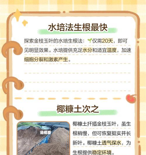 扦插秘籍是什么？如何进行有效的扦插？