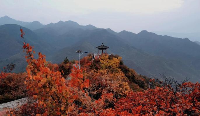 大明山的红叶如何欣赏？秋意浓烈的视觉盛宴有哪些特点？