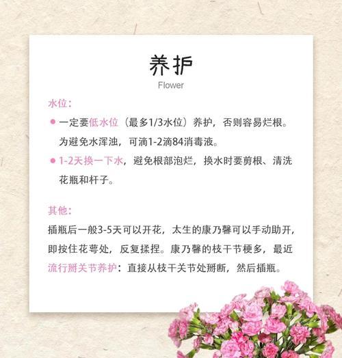 神圣之花养护需要注意哪些方面？