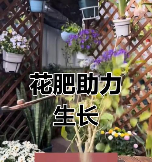 5月份施肥对花卉开花有什么影响？