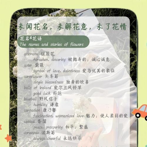 球兰花语有哪些含义？如何传递爱与希望？