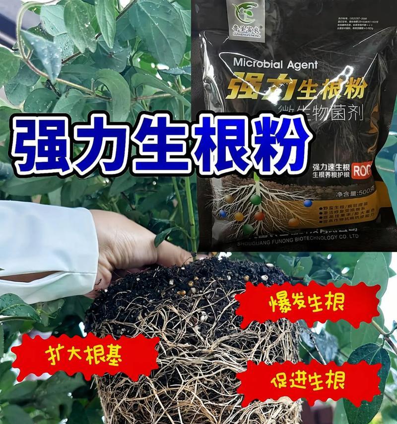 植物扦插生根粉有效吗？使用方法是什么？
