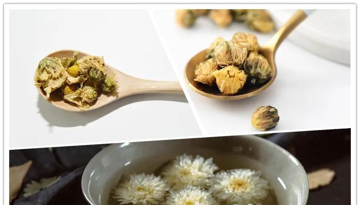 雏菊与杭菊之间有什么关系？