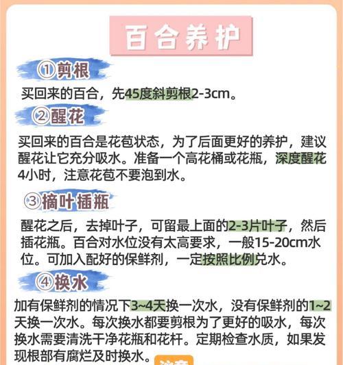 百合有哪些分类？各自的养护方法是什么？