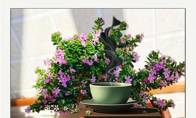 满天星养护技巧有哪些？