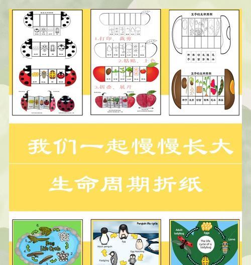 动物繁殖有哪些特点？生命周期如何探秘？
