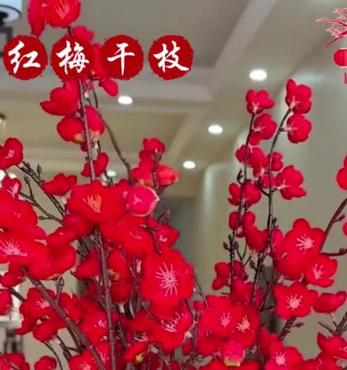 红梅春节时会开花吗？有什么特别的养护技巧？