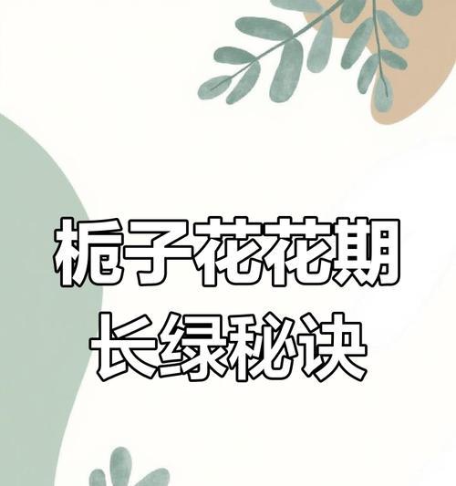 夏季栀子花养护三步走？如何应对黄叶掉苞？