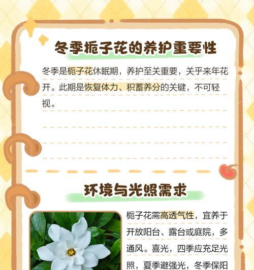 室内栀子花年年开花的秘诀？