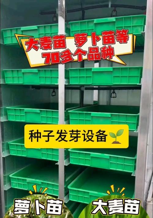 如何提升蔬菜种子的催芽效率？