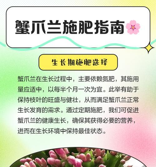 蟹爪兰花期调控与四季管理方法？