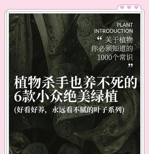 如何正确养护八种观叶植物？常见问题有哪些？
