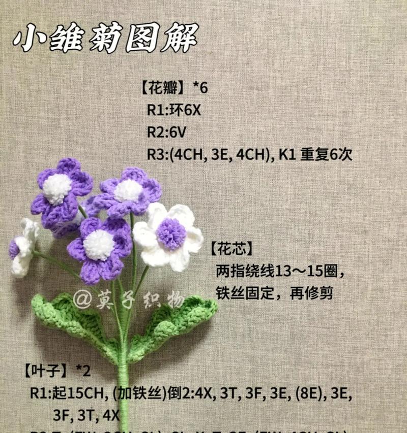 雏菊的花期通常持续多久？