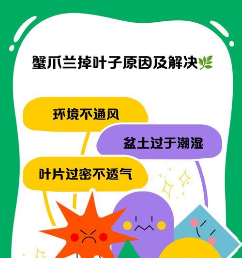蟹爪兰叶子变软的原因是什么？如何改正错误养护？