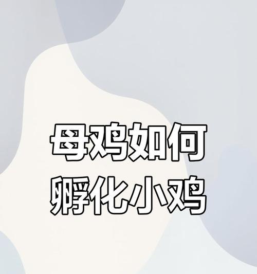 母鸡不与公鸡交配能否产蛋？公鸡的真正作用是什么？