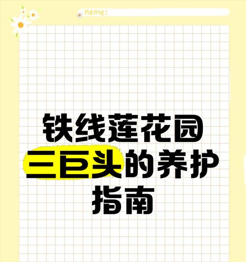 铁线莲的养护指南是什么？